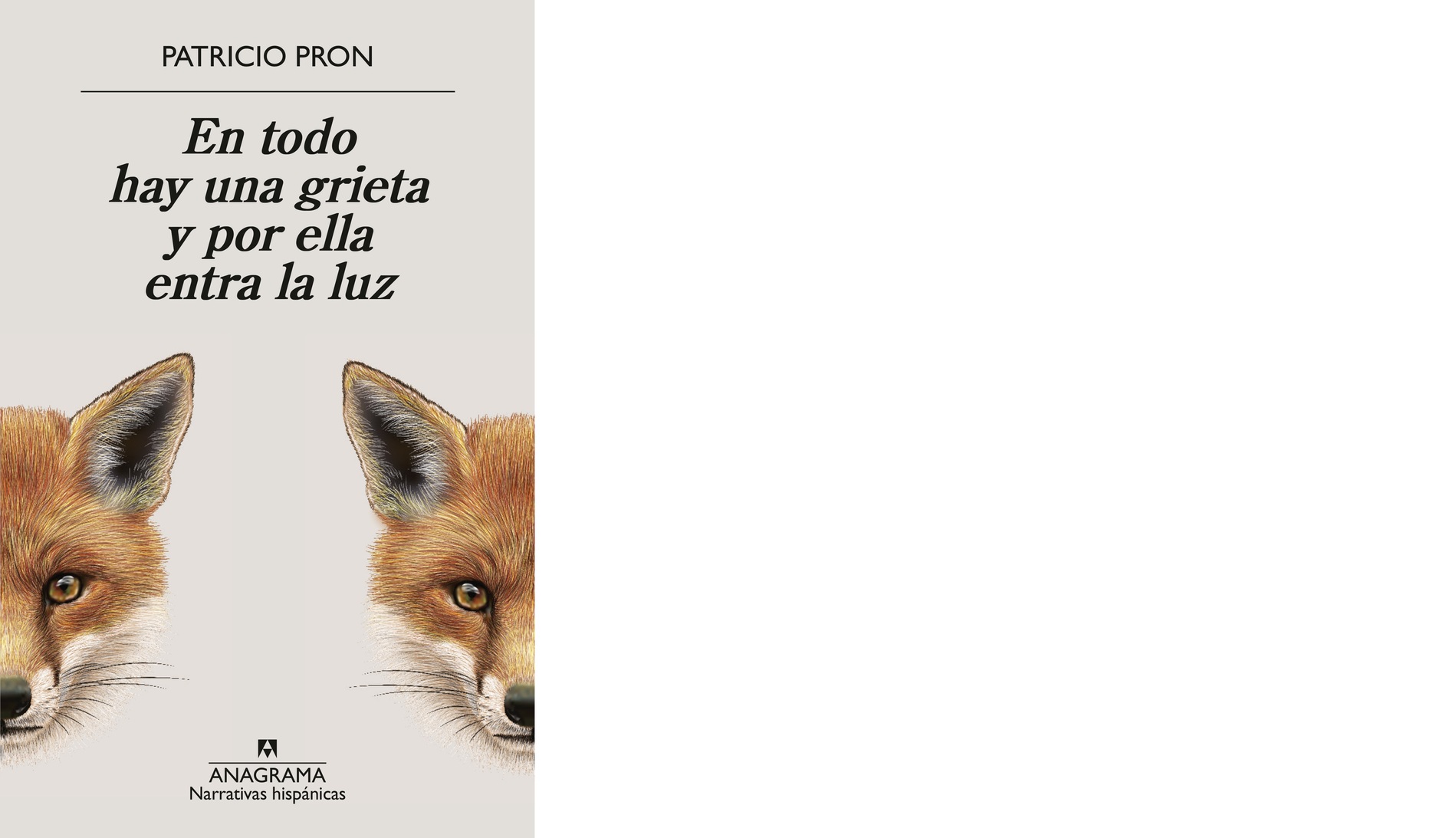 En todo hay una grieta y por ella entra la luz (1).jpg