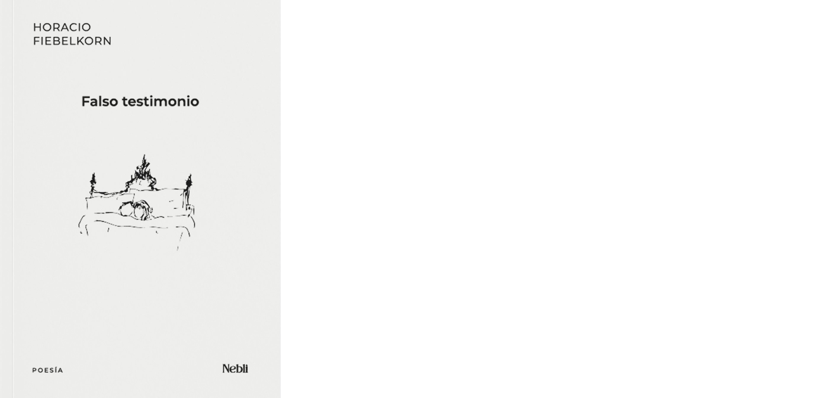 Falso testimonio.jpg