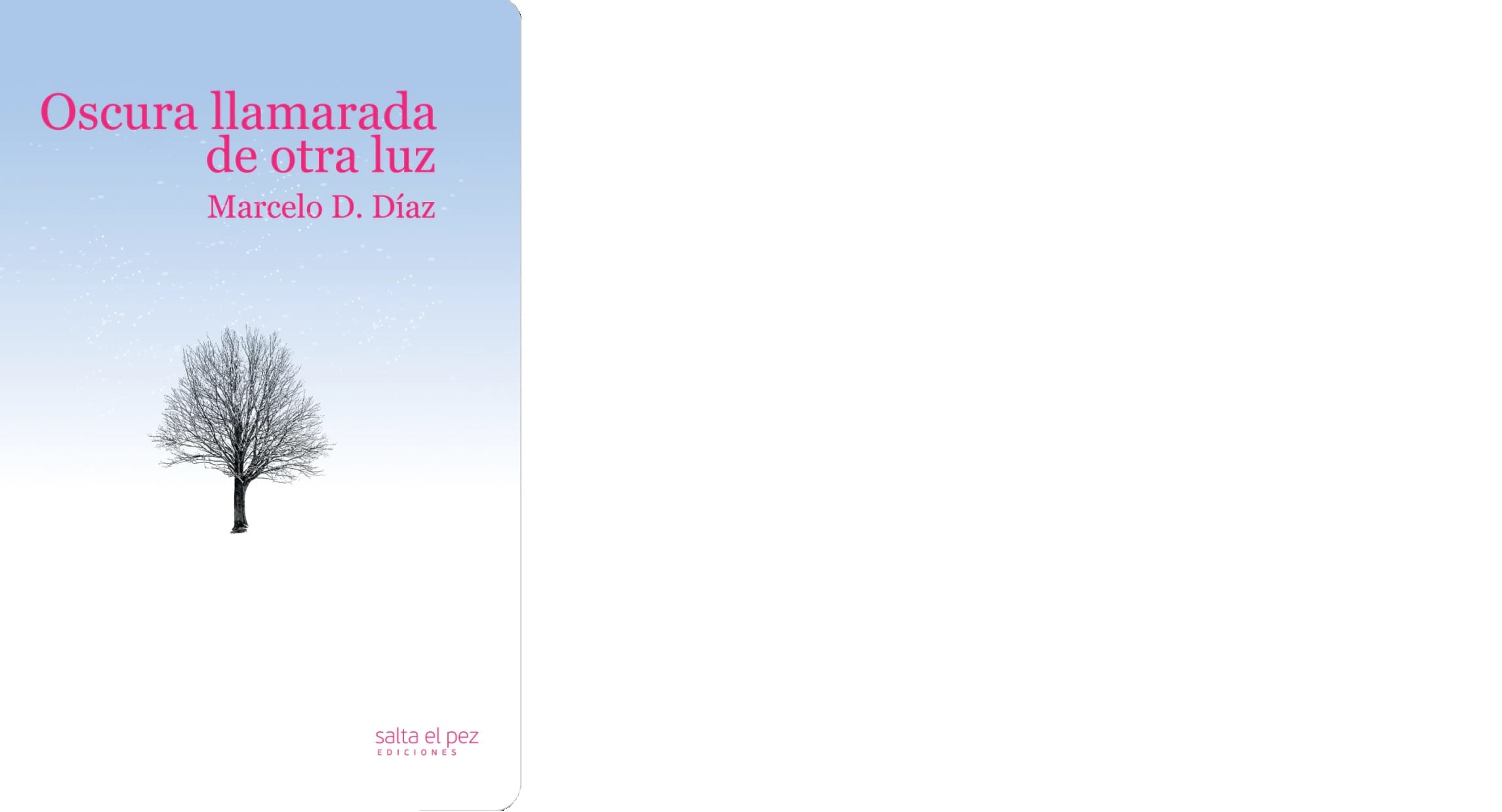 Oscura llamarada de otra luz.jpg