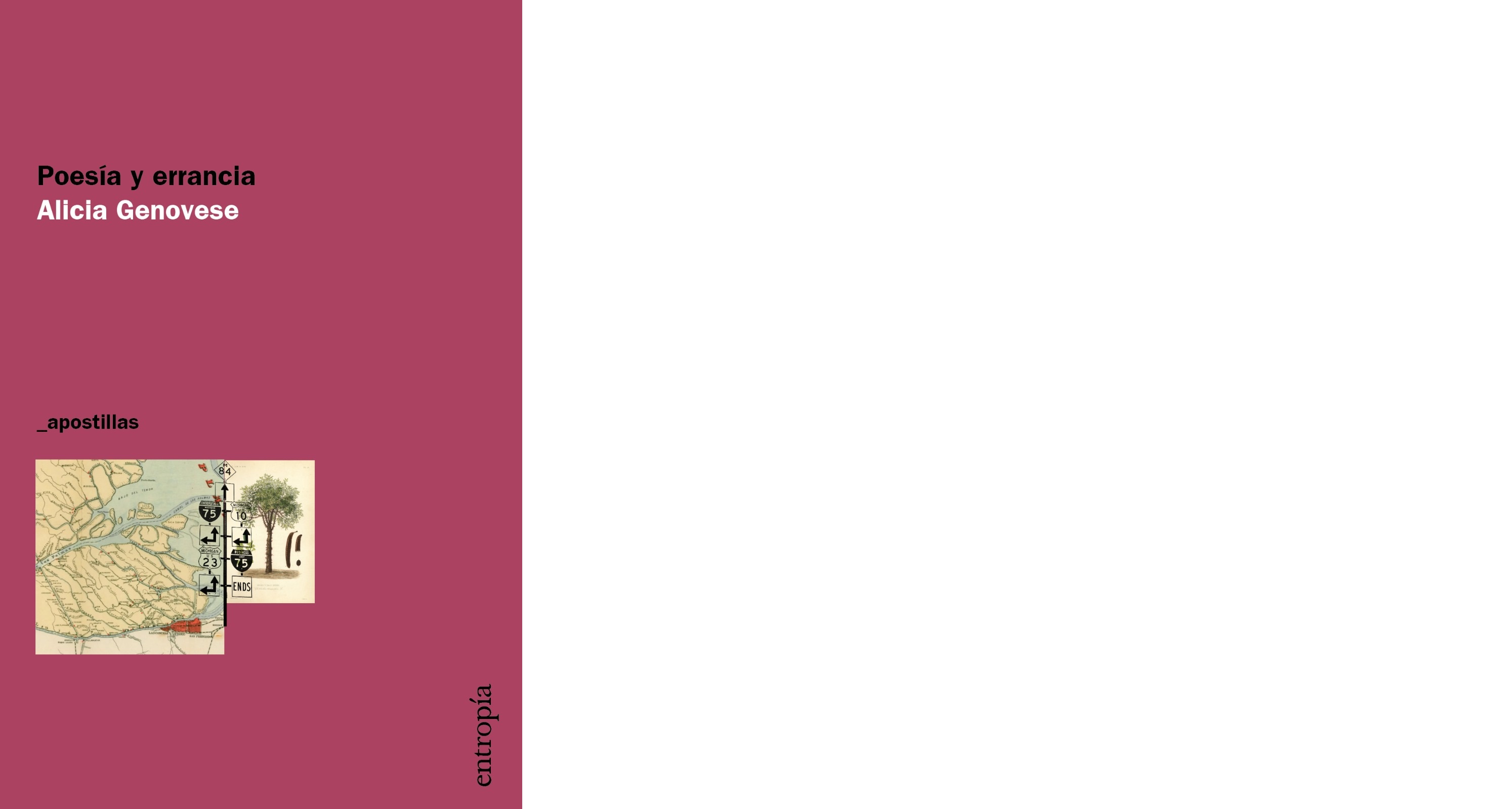 Poesia y errancia. Entropia.jpg