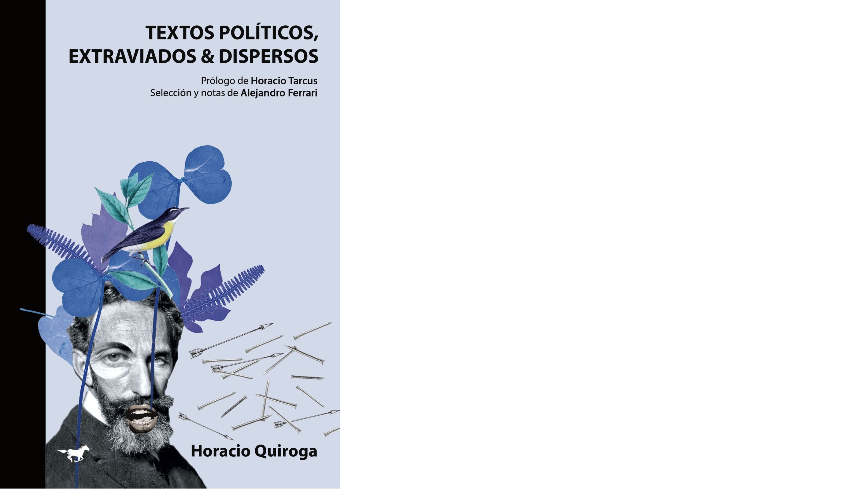 Textos politicos, extraviados & dispersos.jpg