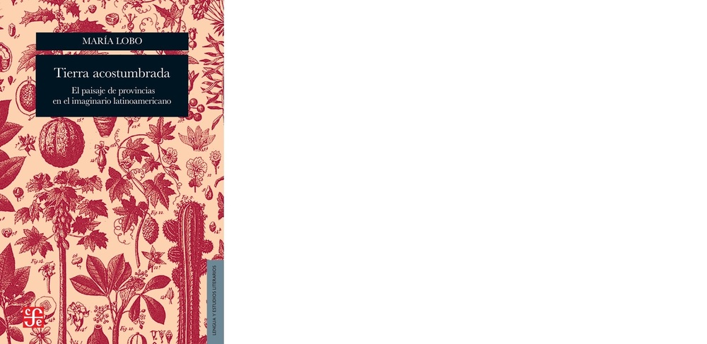 Tierra acostumbrada.jpg